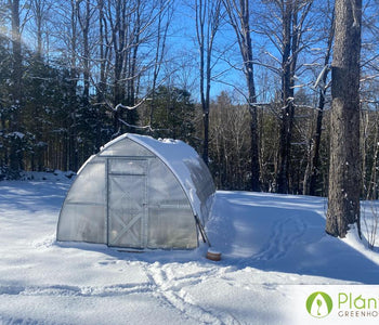 Our greenhouse extended our growing season year round