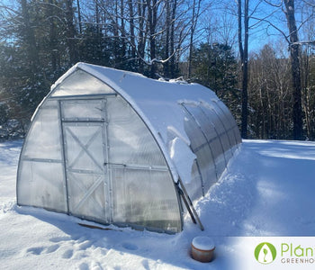 Our greenhouse extended our growing season year round