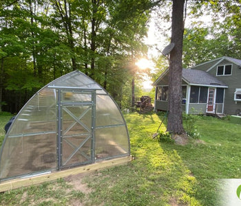 Our greenhouse extended our growing season year round