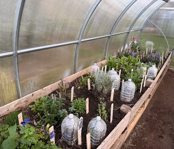 David de North Kingstown: La calidad de construcción es increíble. 