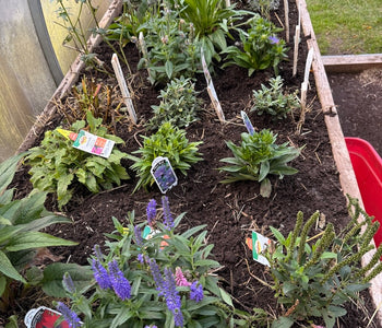 David de North Kingstown: La calidad de construcción es increíble. 