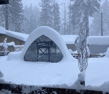 Strong and Compact Sungrow Greenhouse Built for Harsh Winters