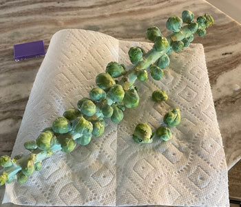 Fresh Vegetables and Extended Harvests in Northern Nevada