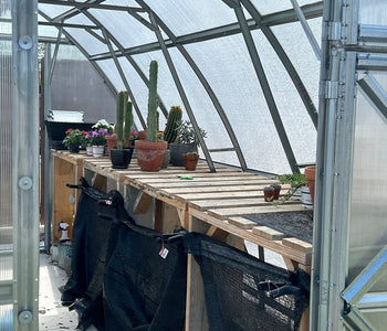 Our Greenhouse Stands Strong Against Wind and Hail