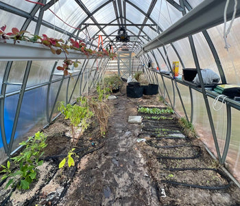 Turning Winter Into a Thriving Garden with the Sungrow 32
