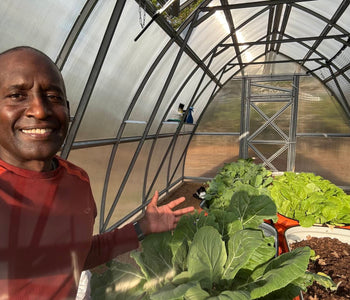 Year-Round Vegetable Gardening Without Deer or Frost Worries