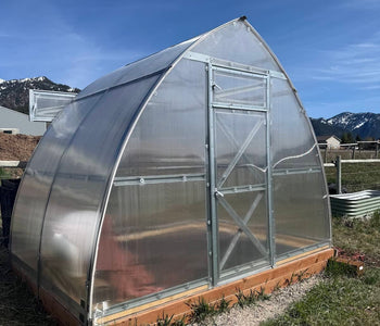 A Sun-Filled Backyard Retreat with the Sungrow Compact