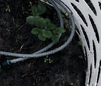 Turning Winter Into a Thriving Garden with the Sungrow 32