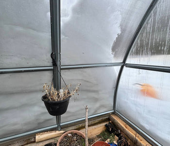 Built to Handle Heavy Snow and Strong Winds All Winter