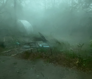 EF-2 Tornado Passed, Trees Damaged, but Greenhouse Unscathed