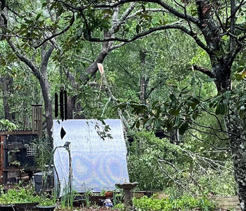 EF-2 Tornado Passed, Trees Damaged, but Greenhouse Unscathed