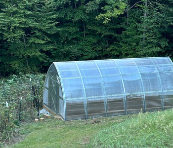 Healthier Plants and Bigger Harvests with the Sungrow 20