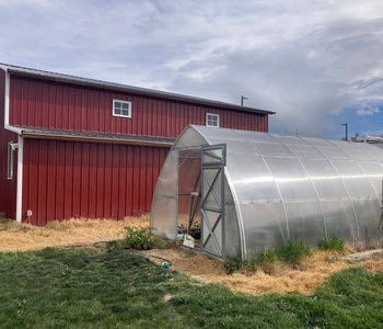 Growing a Thriving Backyard Nursery with the Sungrow 20