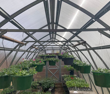 Growing a Thriving Backyard Nursery with the Sungrow 20