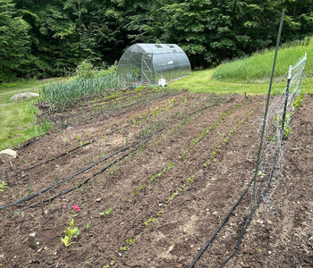 Healthier Plants and Bigger Harvests with the Sungrow 20
