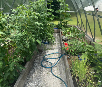 Healthier Plants and Bigger Harvests with the Sungrow 20