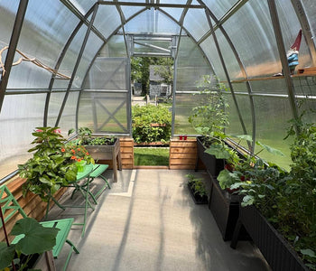 Extending the Growing Season and Wellbeing with the Sungrow Urban