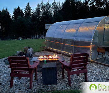 The greenhouse helped me get a jump on my vegetables seeds