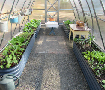 Extending the Growing Season with the Spacious Sungrow 20