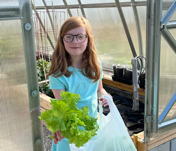 Amazed at the difference between plants grown inside the greenhouse and those just outside