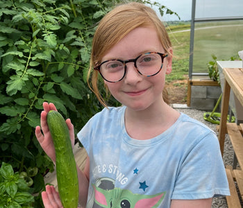 Amazed at the difference between plants grown inside the greenhouse and those just outside