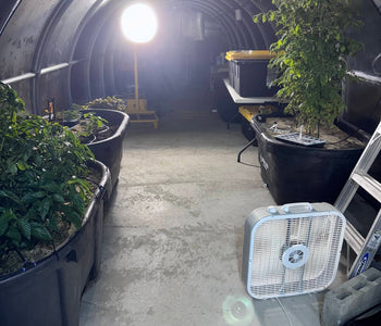 Experimenting with Year-Round Gardening in a 57-Foot Sigma
