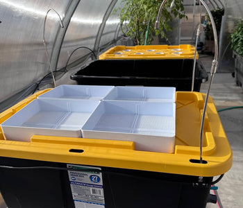 Experimenting with Year-Round Gardening in a 57-Foot Sigma