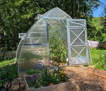 Growing Bigger Harvests with Sungrow Urban