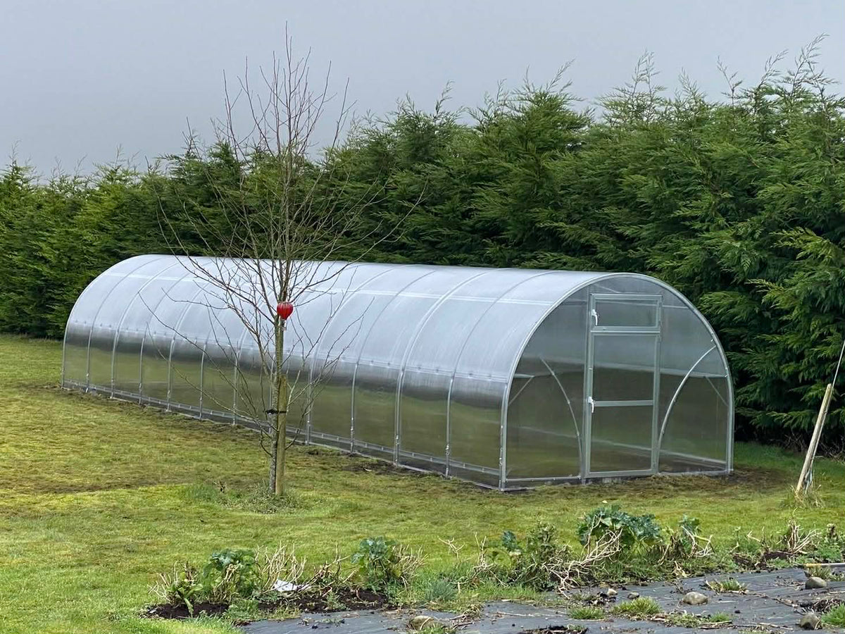 Sigma Greenhouse