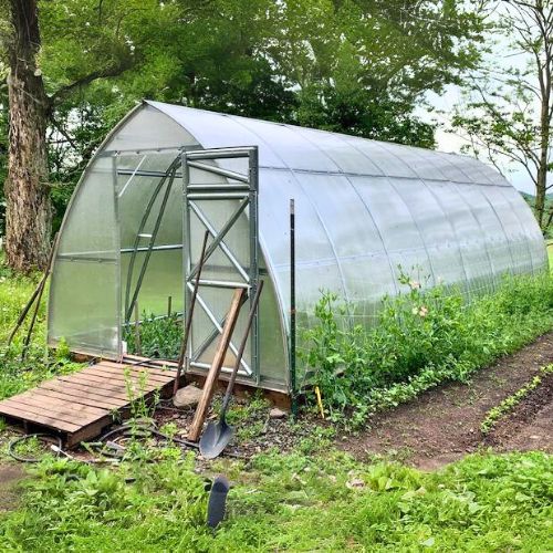 Best backyard greenhouse