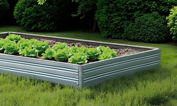 Garden Beds