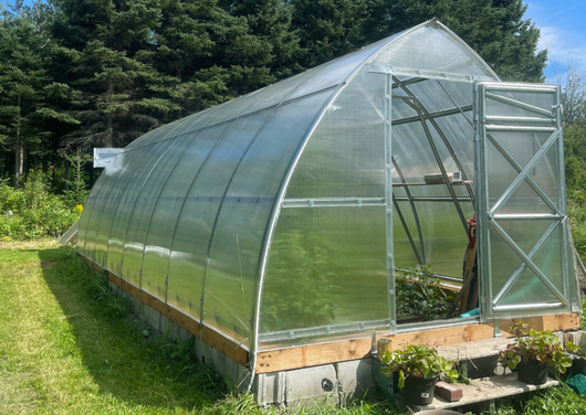 Sungrow Greenhouse, Exterior, Wooden Perimeter, DIY Backyard Greenhouse