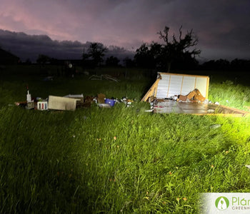 My Greenhouse Survived a small tornado!