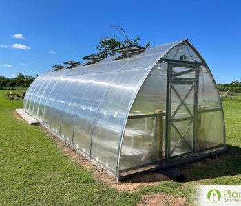 My Greenhouse Survived a small tornado!