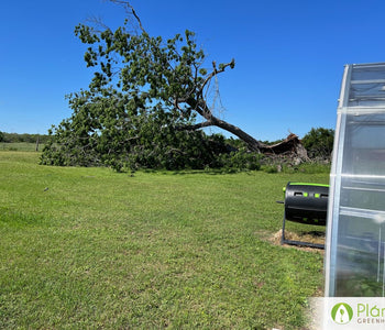 My Greenhouse Survived a small tornado!