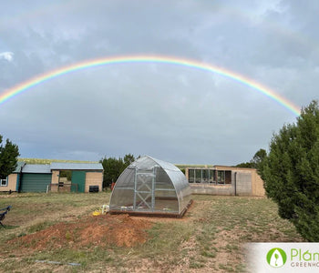 Considering buying a second greenhouse!