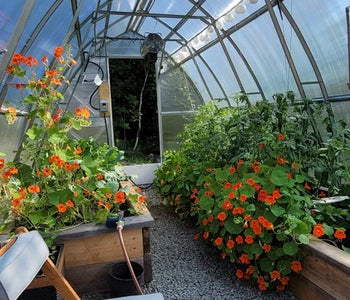 This is our 2nd Planta Greenhouse