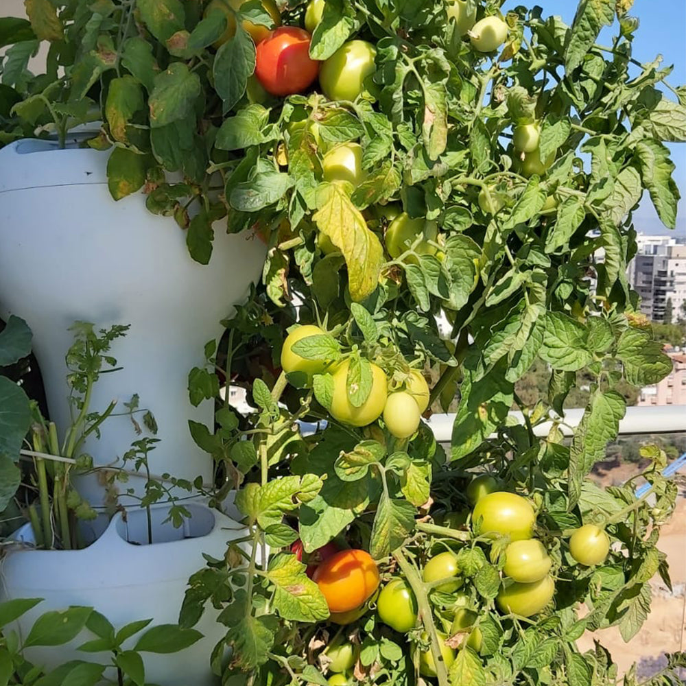 Airponic Fruit - Hydroponic Tower Garden System