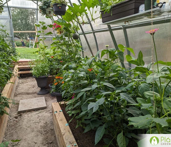 A home for heat-loving vegetables