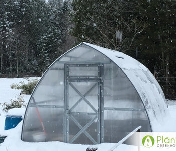 I love spending time in the Sungrow Greenhouse