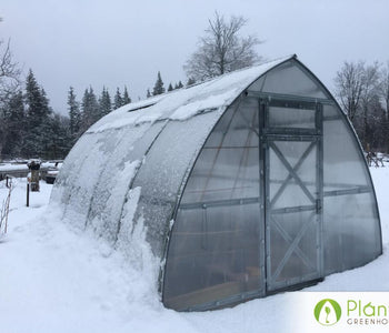 I love spending time in the Sungrow Greenhouse