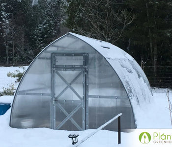 I love spending time in the Sungrow Greenhouse