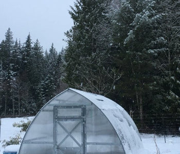 I love spending time in the Sungrow Greenhouse