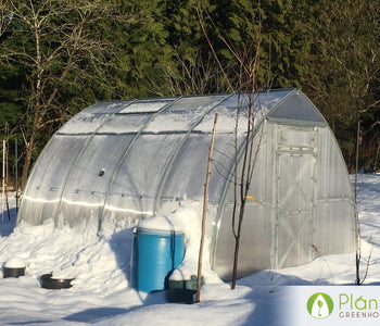 I love spending time in the Sungrow Greenhouse