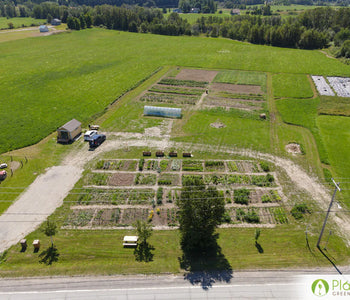 We produced over 100 kg of tomatoes