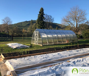 I was harvesting Cornetto Peppers with snow on the ground this year