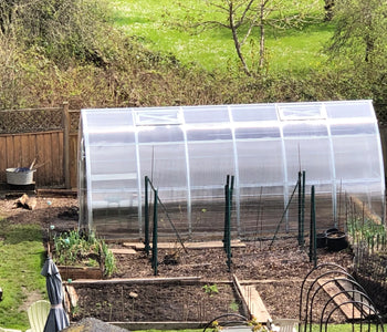 Our Cozy Greenhouse Hideaway