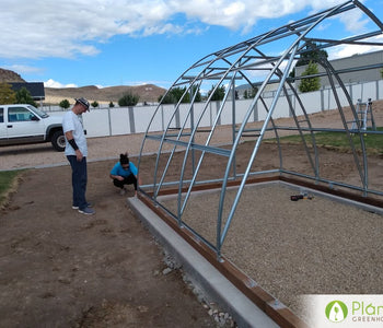 Roomy Greenhouse for Ground Planting