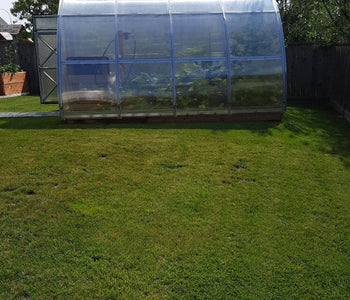 I really like this greenhouse...many of my visitors look at it and sure like it