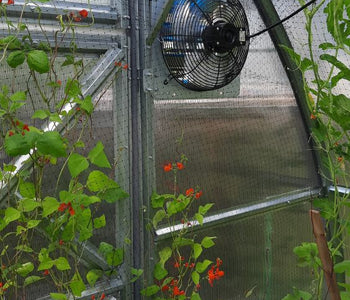 I really like this greenhouse...many of my visitors look at it and sure like it